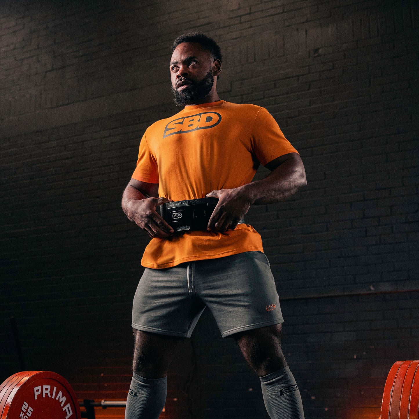 13mm Lever Belt (Forge Range)