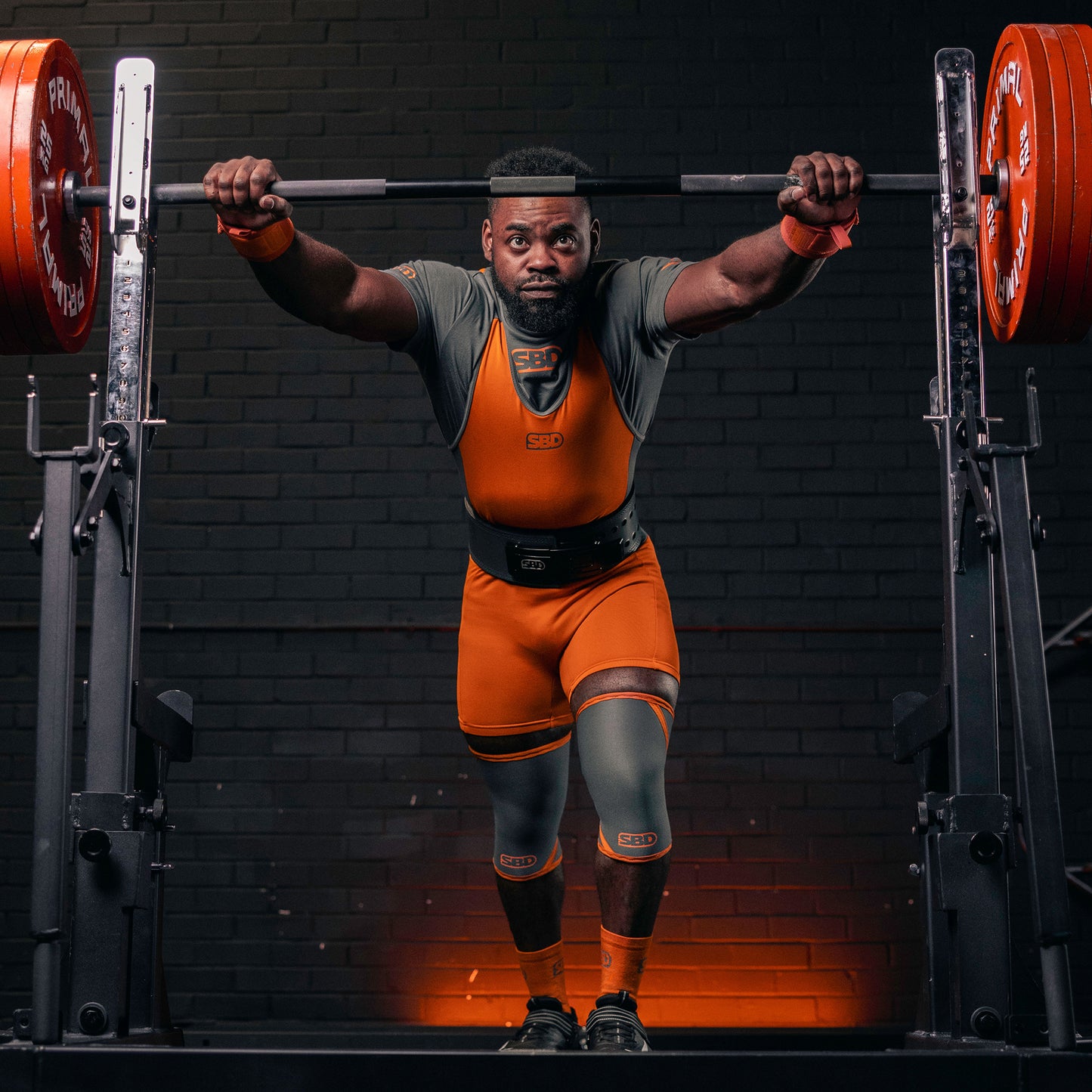 Knee Sleeves (Forge Range)