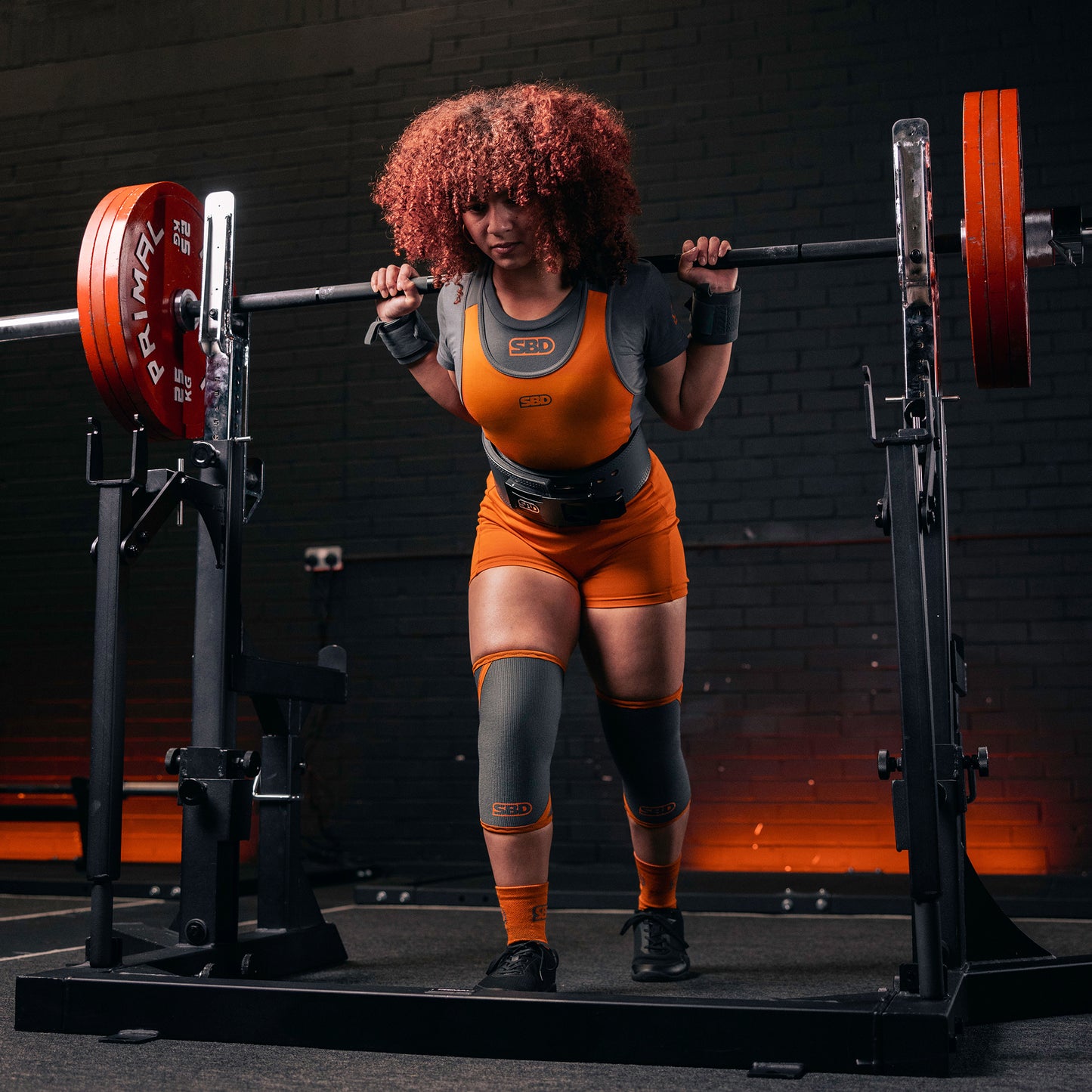 Powerlifting Knee Sleeves (Forge Range)