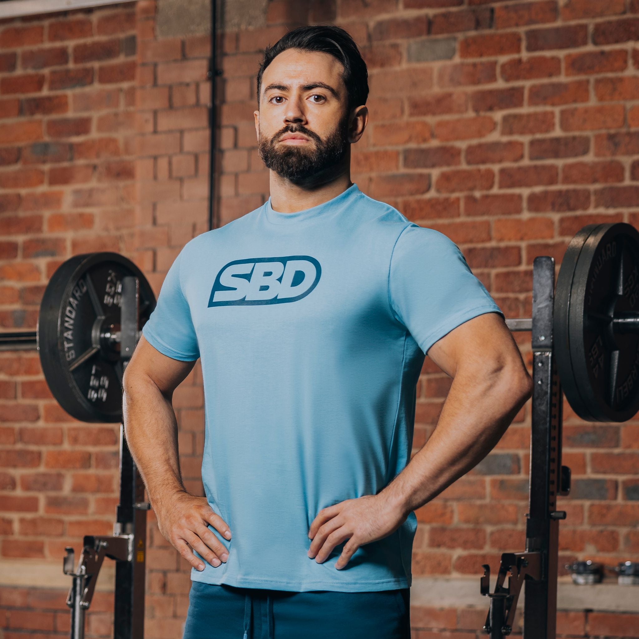 SBD T-Shirt - Blue (Reflect Range) – SBD Malaysia